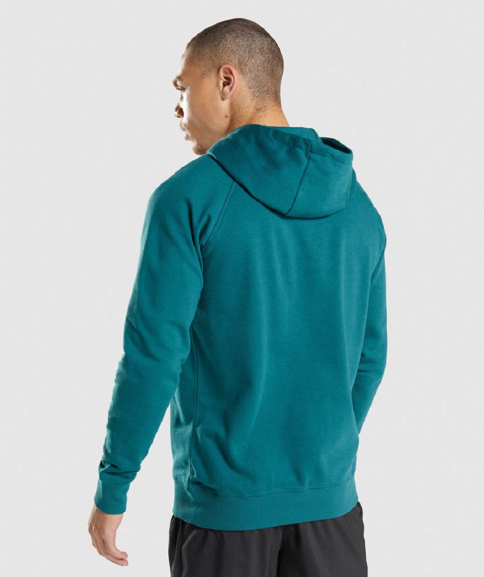 Sudadera Con Capucha Gymshark Sharkhead Infill Hombre Turquesa | CO 3618JPQ